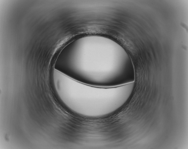 X0000097970488200803241023