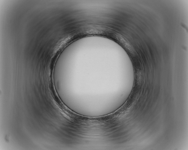 X0000097970490200803241023