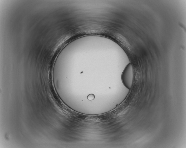 X0000097970491200803241023