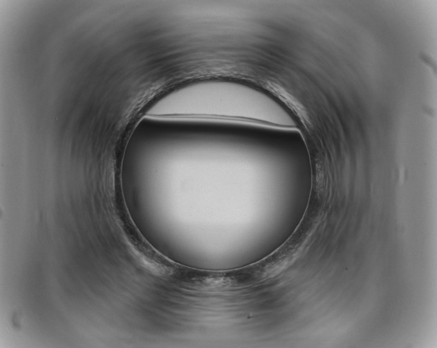 X0000097970493200803241023