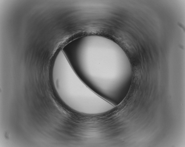 X0000097970496200803241022