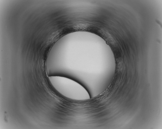 X0000097970498200803241022