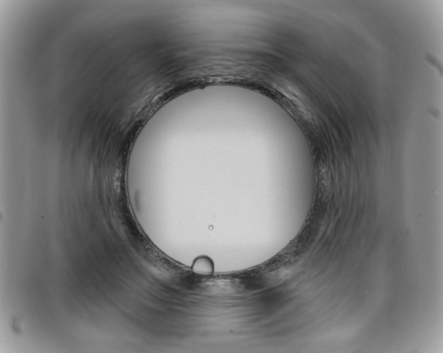 X0000097970499200803241022