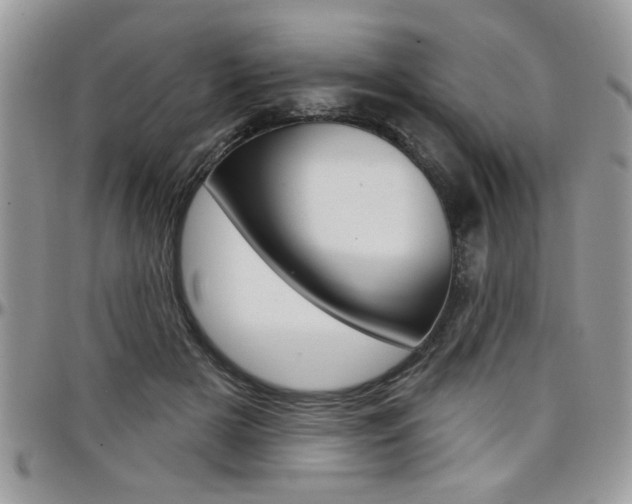 X0000097970505200803241022