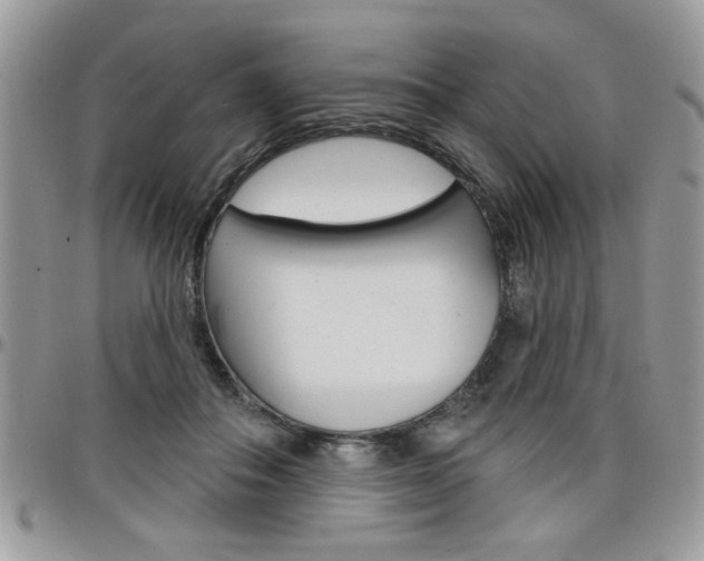 X0000097970506200803241022