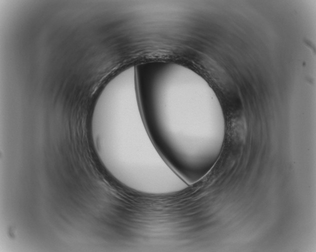 X0000097970508200803241022