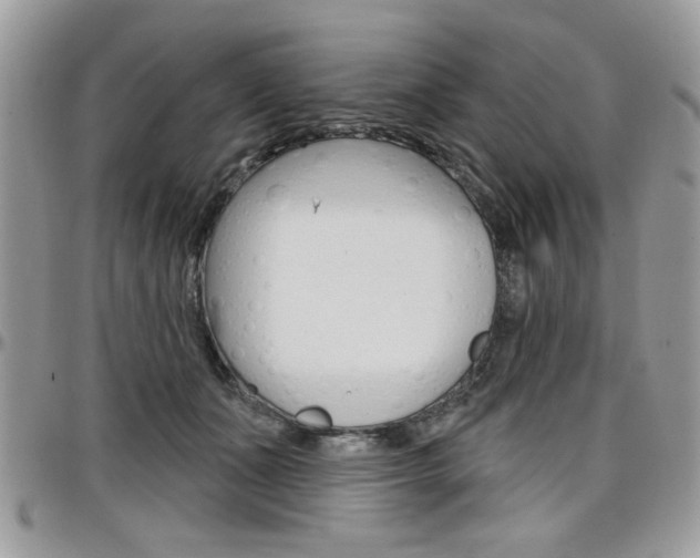 X0000097970511200803241022