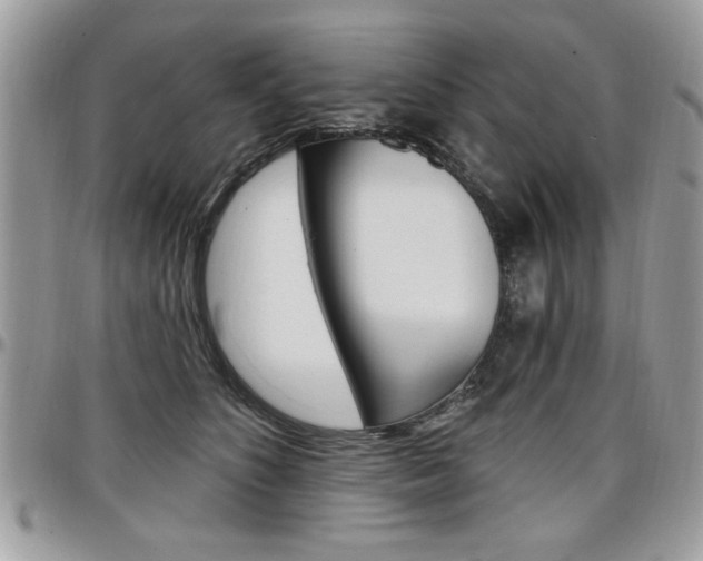 X0000097970516200803241022