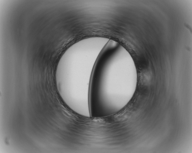 X0000097970517200803241022