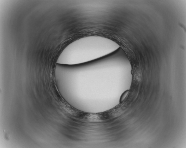 X0000097970518200803241022