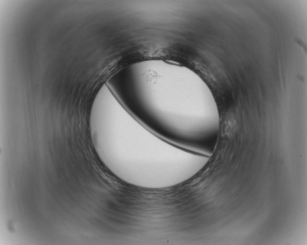 X0000097970521200803241022