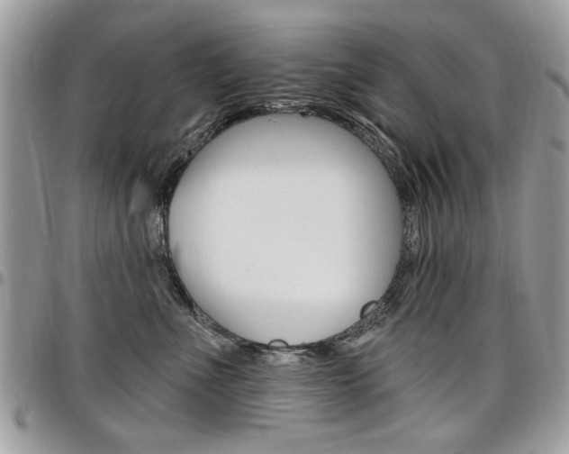 X0000097970523200803241022