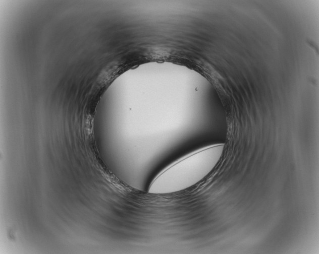 X0000097970525200803241022