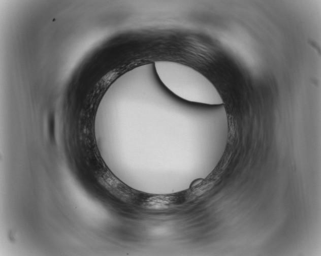 X0000097970526200803241022