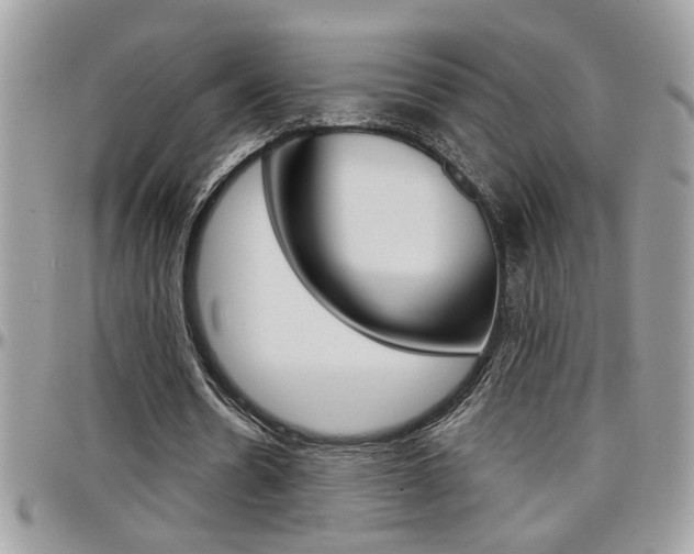 X0000097970530200803241021