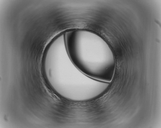 X0000097970532200803241021