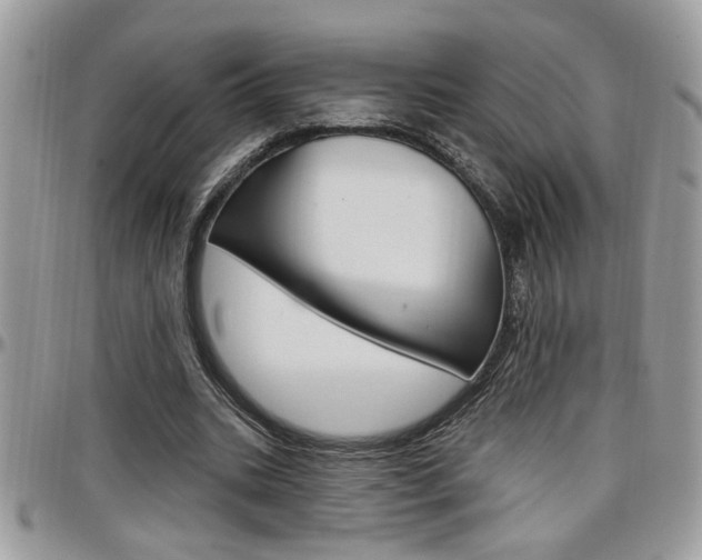 X0000097970535200803241021