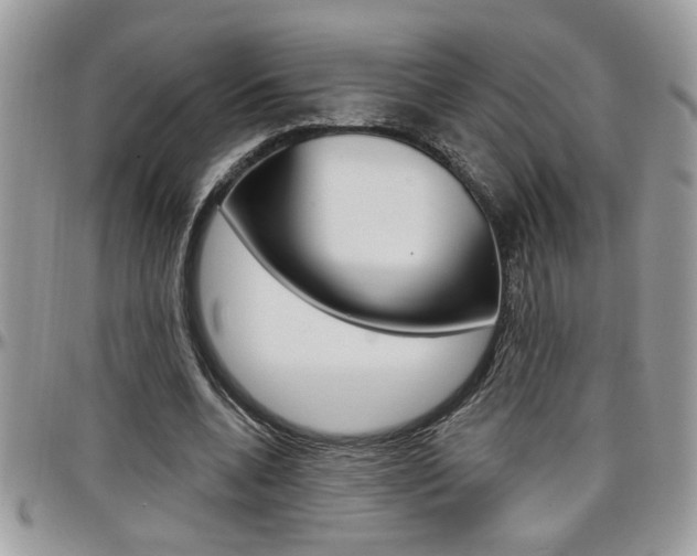 X0000097970536200803241021