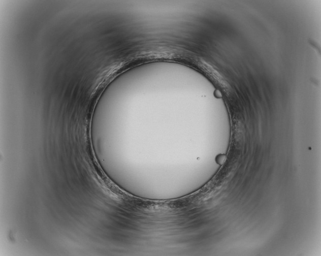 X0000097970537200803241021