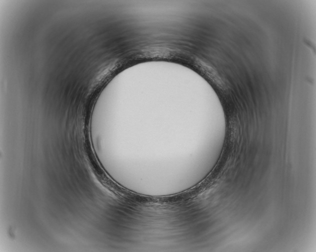 X0000097970538200803241021