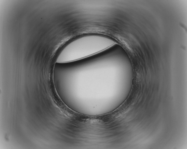 X0000097970539200803241021