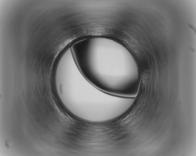 X0000097970540200803241022