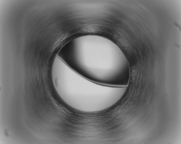 X0000097970544200803241022
