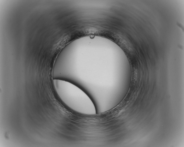 X0000097970545200803241022