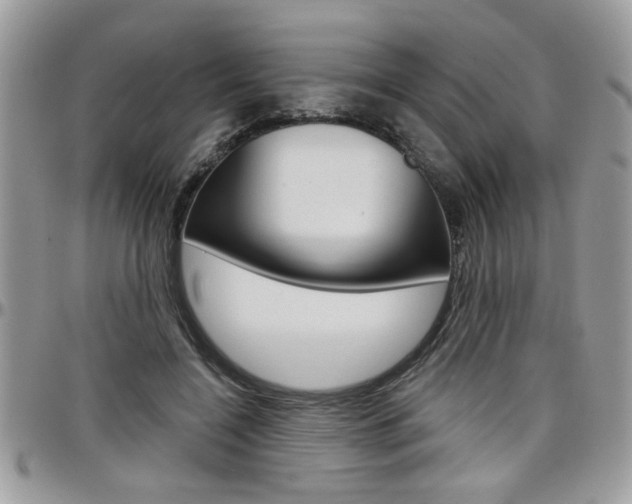 X0000097970548200803241022