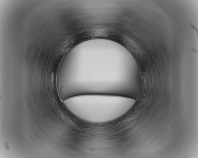 X0000097970550200803241022