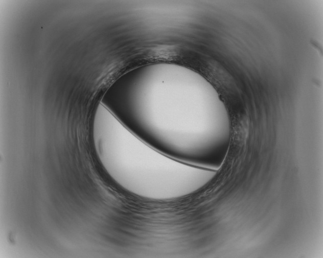 X0000097970552200803241022