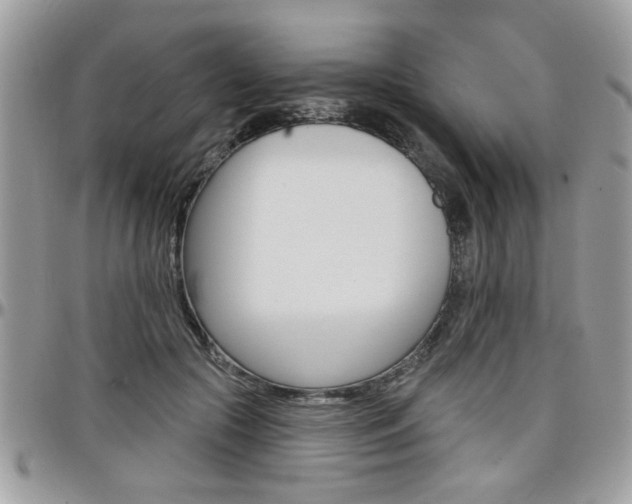 X0000097970553200803241022