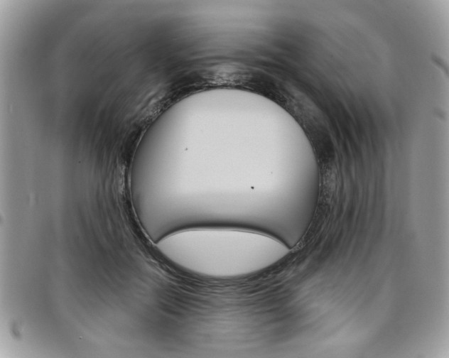 X0000097970554200803241022