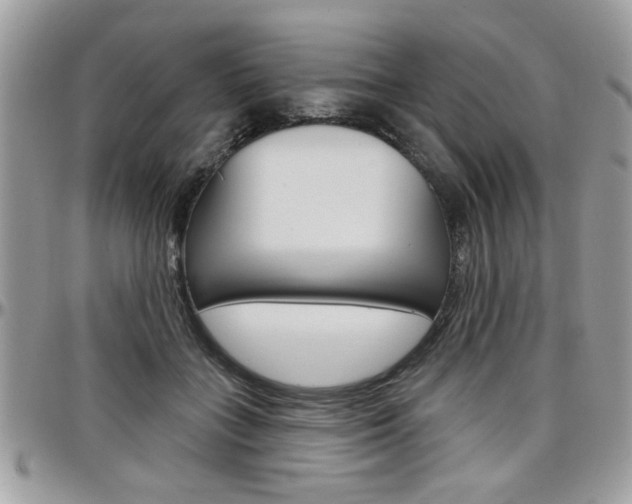 X0000097970555200803241022