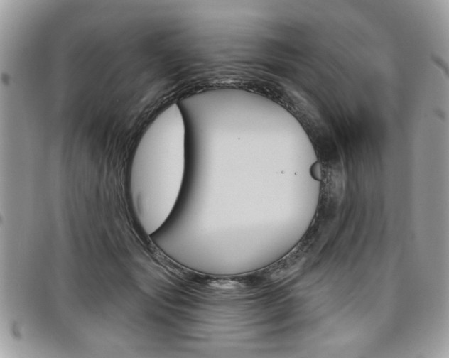 X0000097970557200803241022