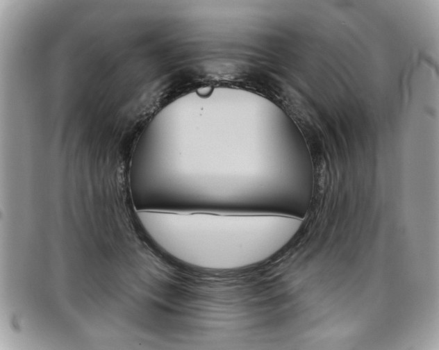 X0000097970559200803241022