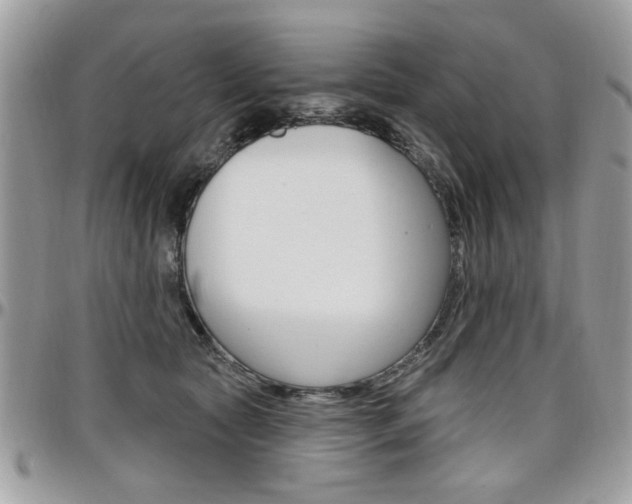 X0000097970561200803241022