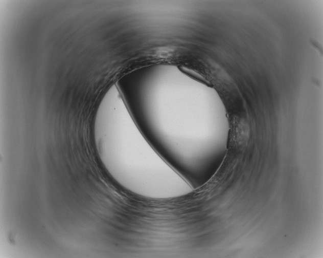 X0000097970562200803241022
