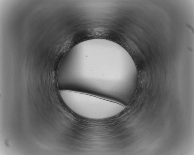 X0000097970563200803241022