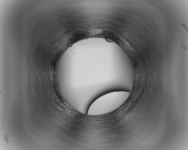 X0000097970565200803241022
