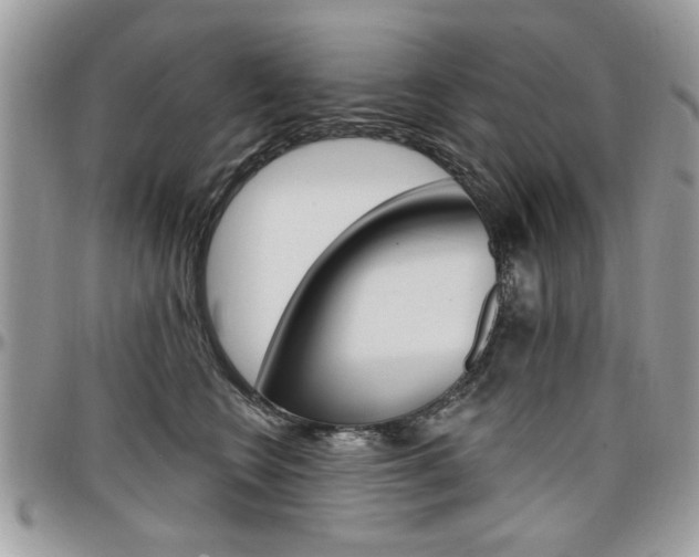 X0000097970566200803241022