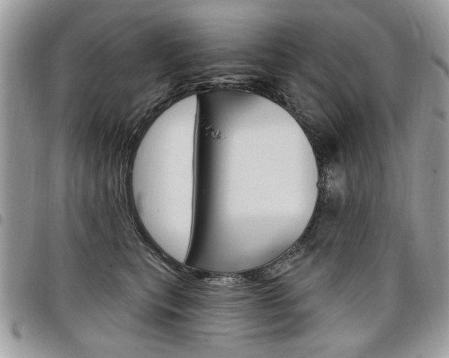 X0000097970567200803241022
