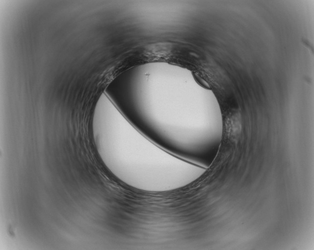 X0000097970570200803241022