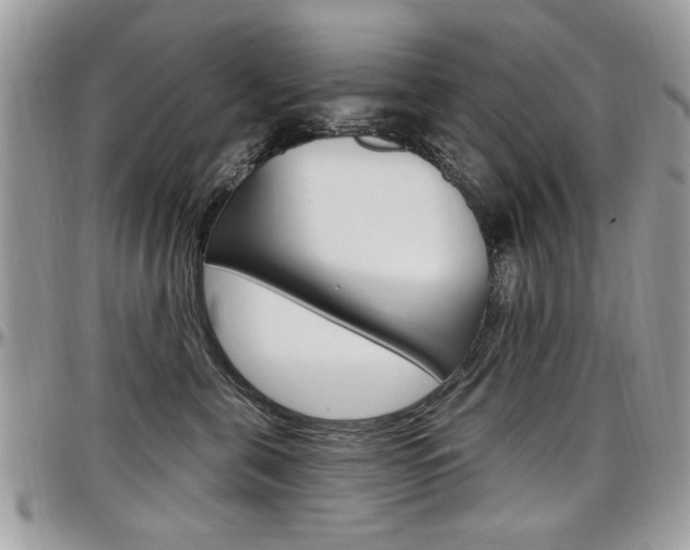 X0000097970571200803241022