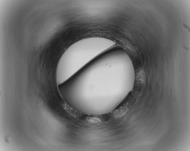 X0000097970572200803241022