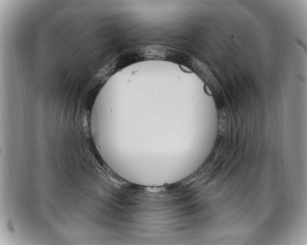 X0000097970573200803241022