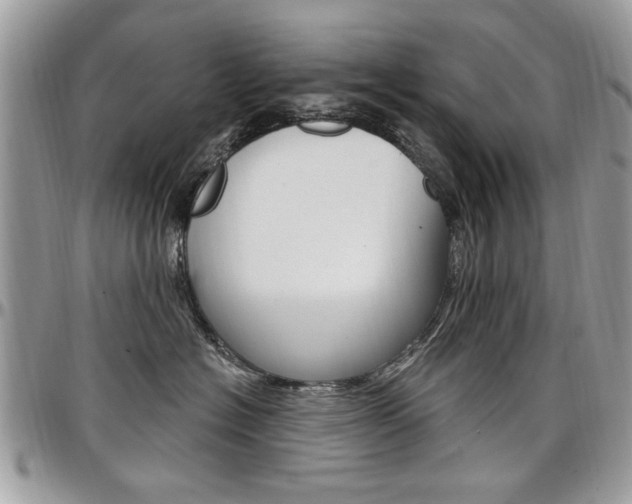 X0000097970574200803241022