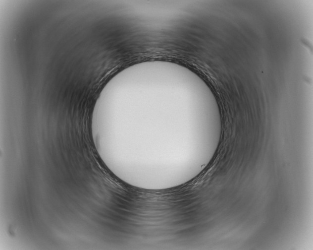 X0000097970576200803241022