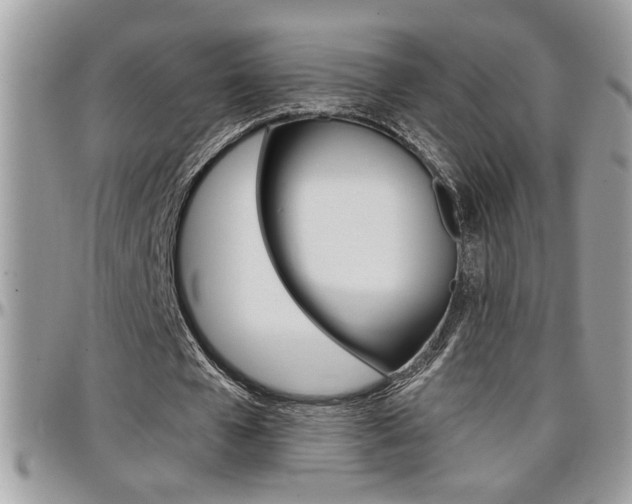 X0000097970577200803241021