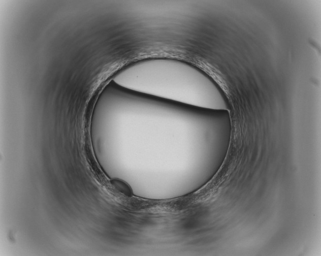 X0000097970578200803241021